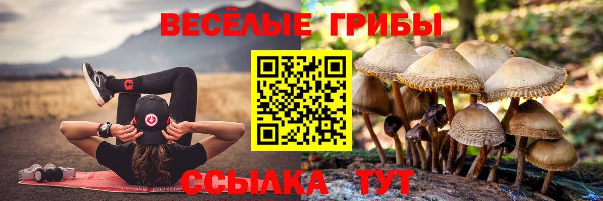 Псилоцибиновые грибы мухоморы  Вход с VPN  Воронеж 